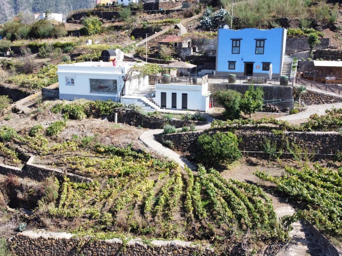 Ek Teide Finca El Milagro La Orotava Bagian luar foto