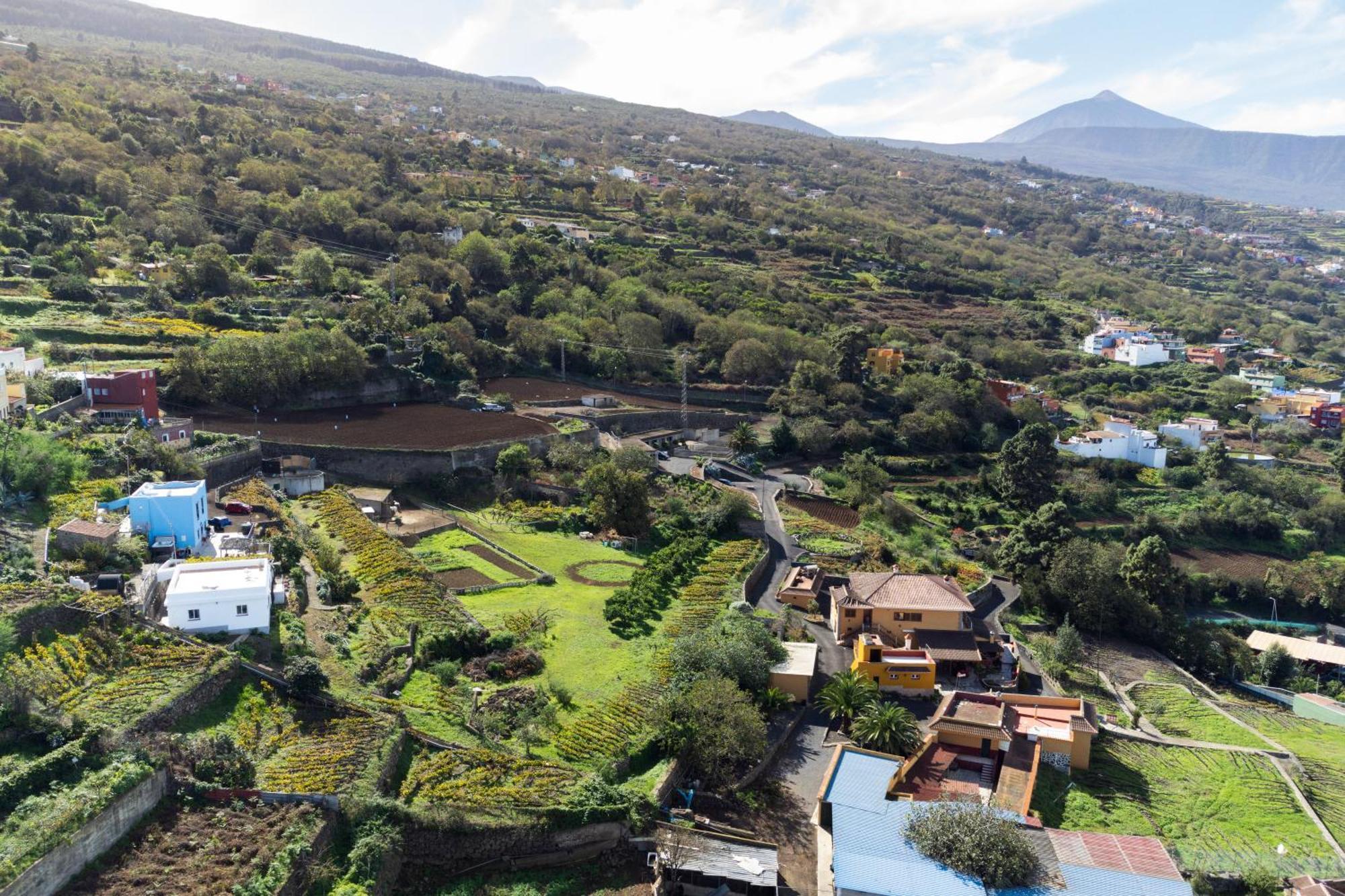 Ek Teide Finca El Milagro La Orotava Bagian luar foto