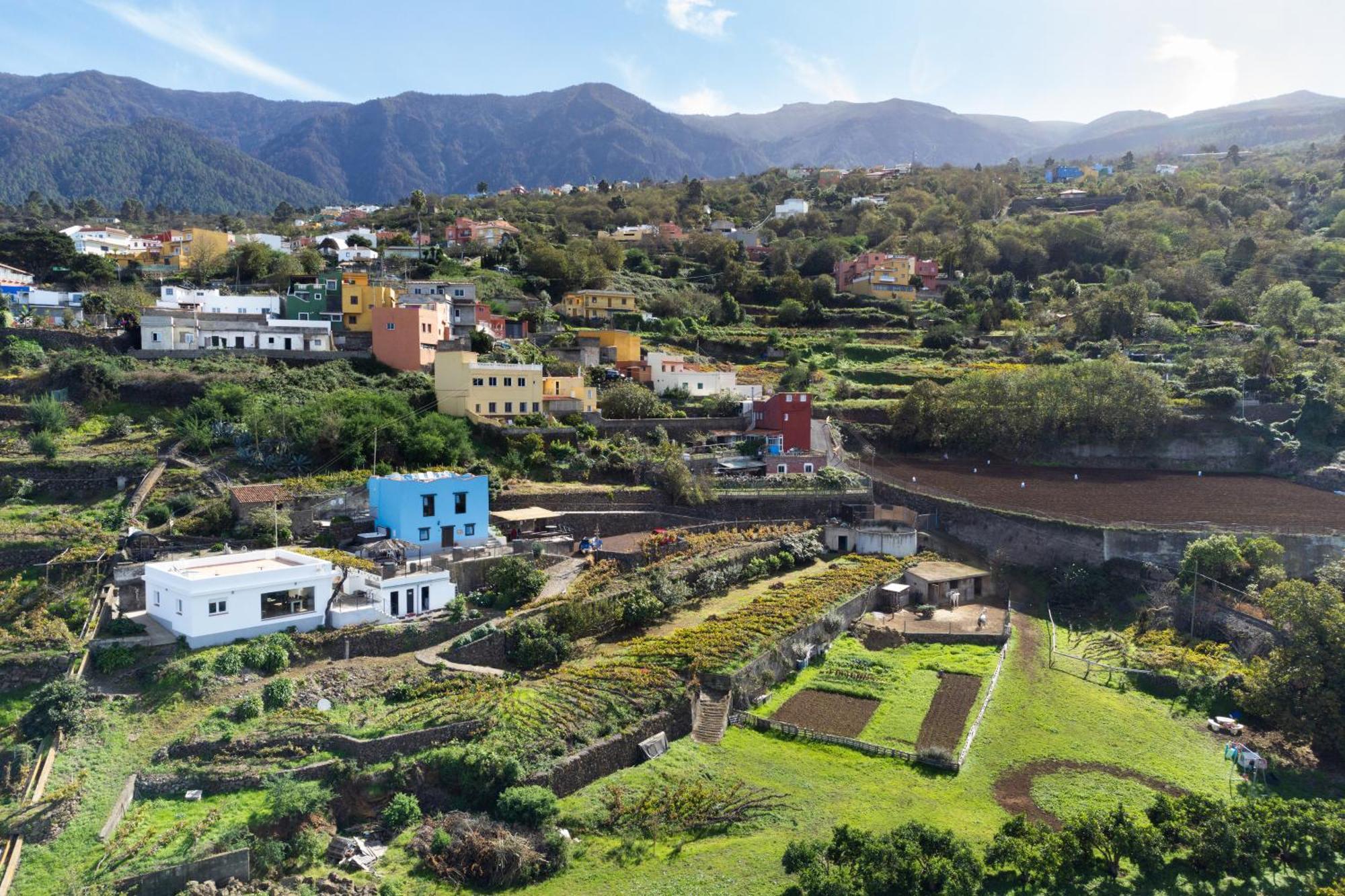 Ek Teide Finca El Milagro La Orotava Bagian luar foto