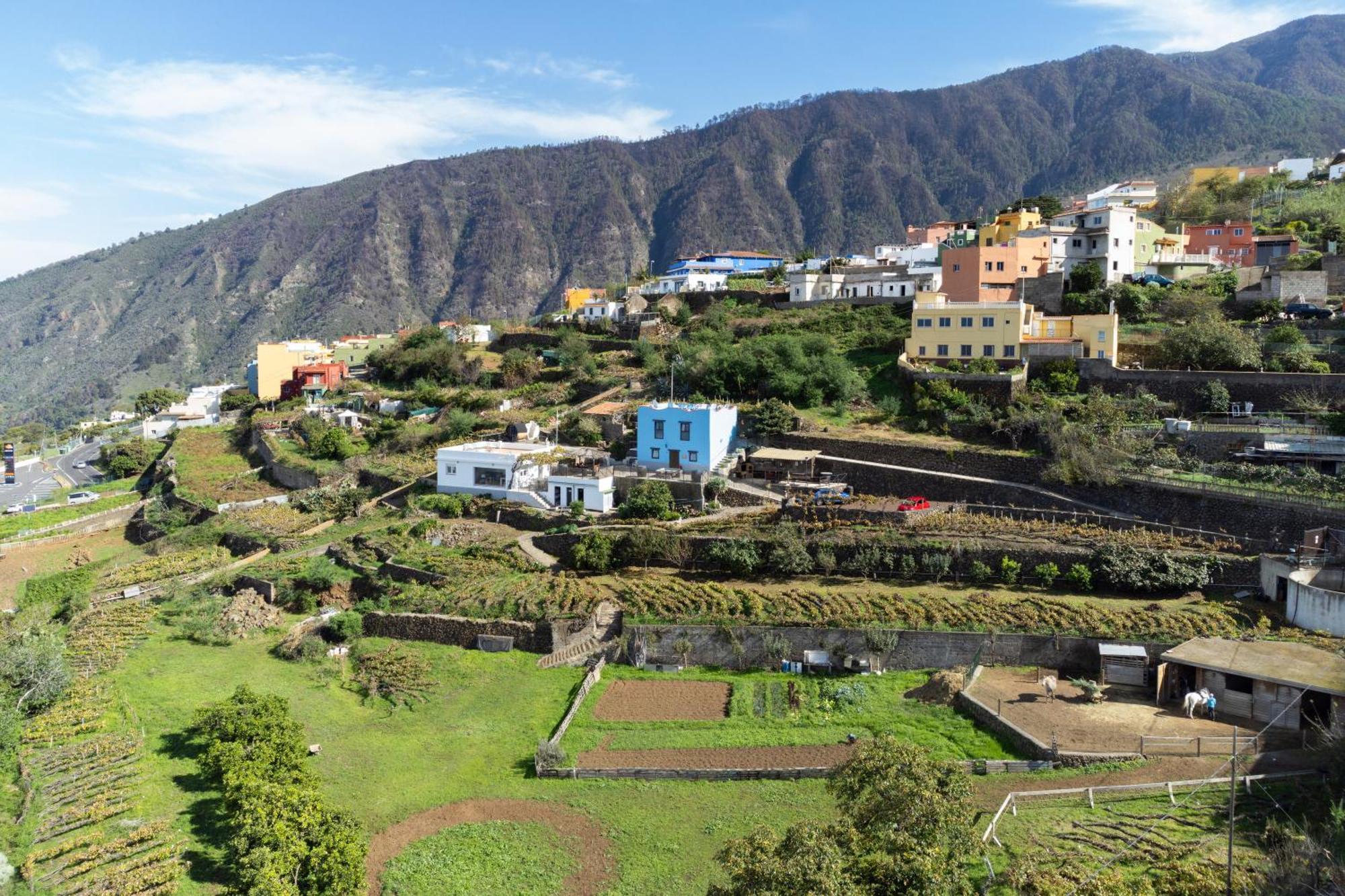 Ek Teide Finca El Milagro La Orotava Bagian luar foto
