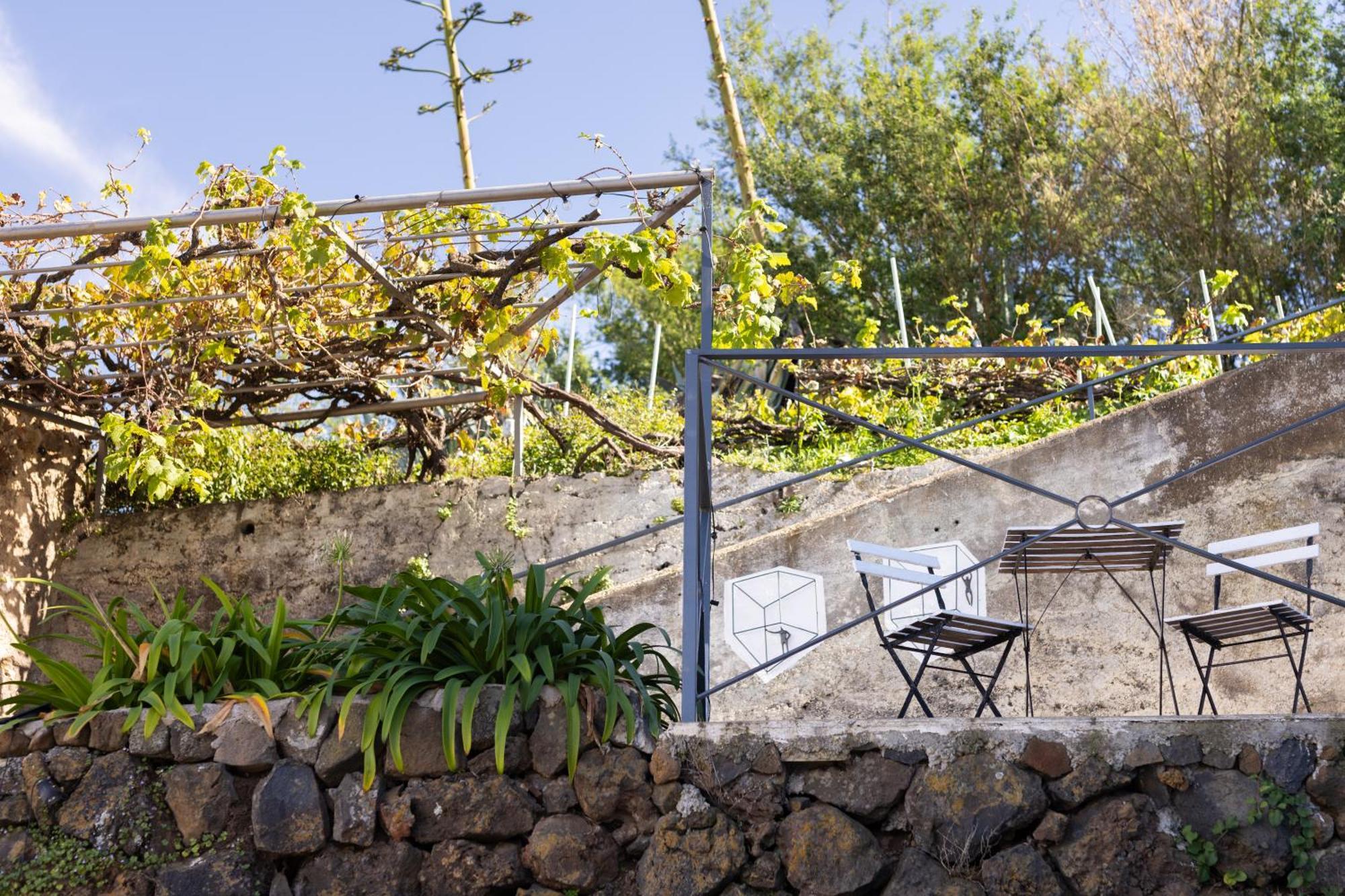Ek Teide Finca El Milagro La Orotava Bagian luar foto