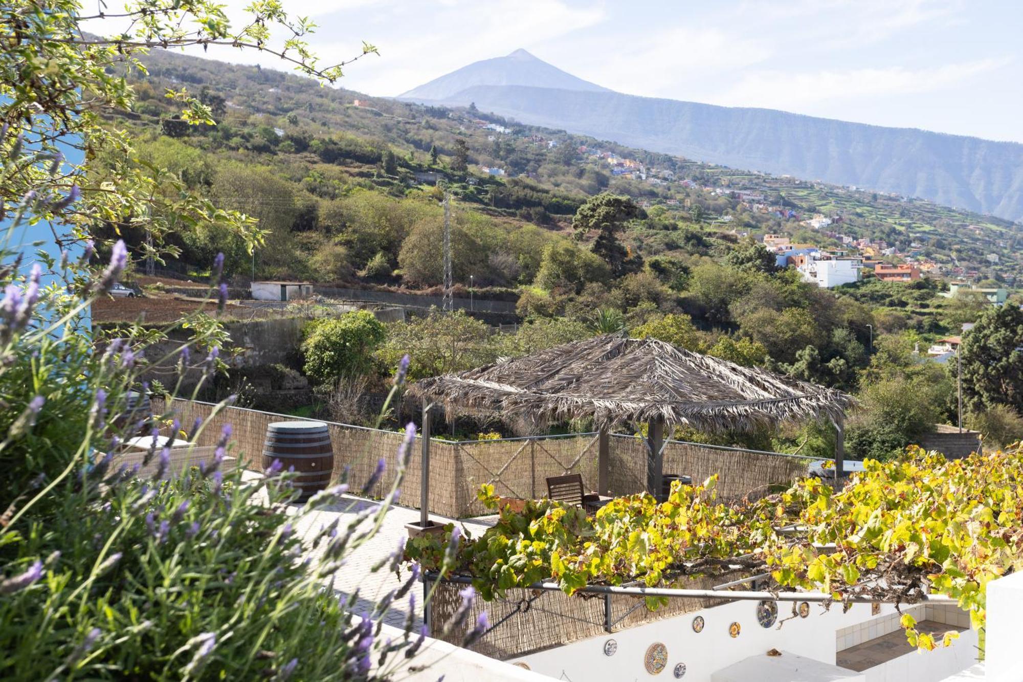Ek Teide Finca El Milagro La Orotava Bagian luar foto